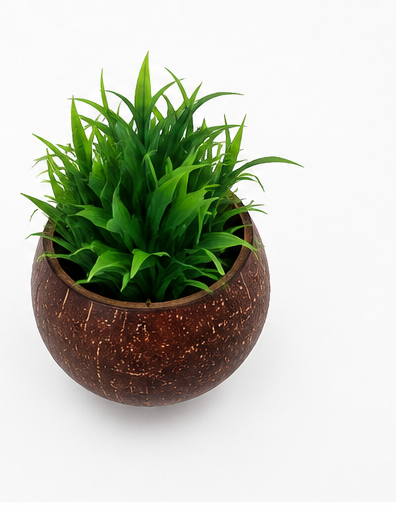 Spiral Hanging Planter Full Set