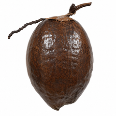Wall Hanging Watch Of Green Coconut Shell Craft