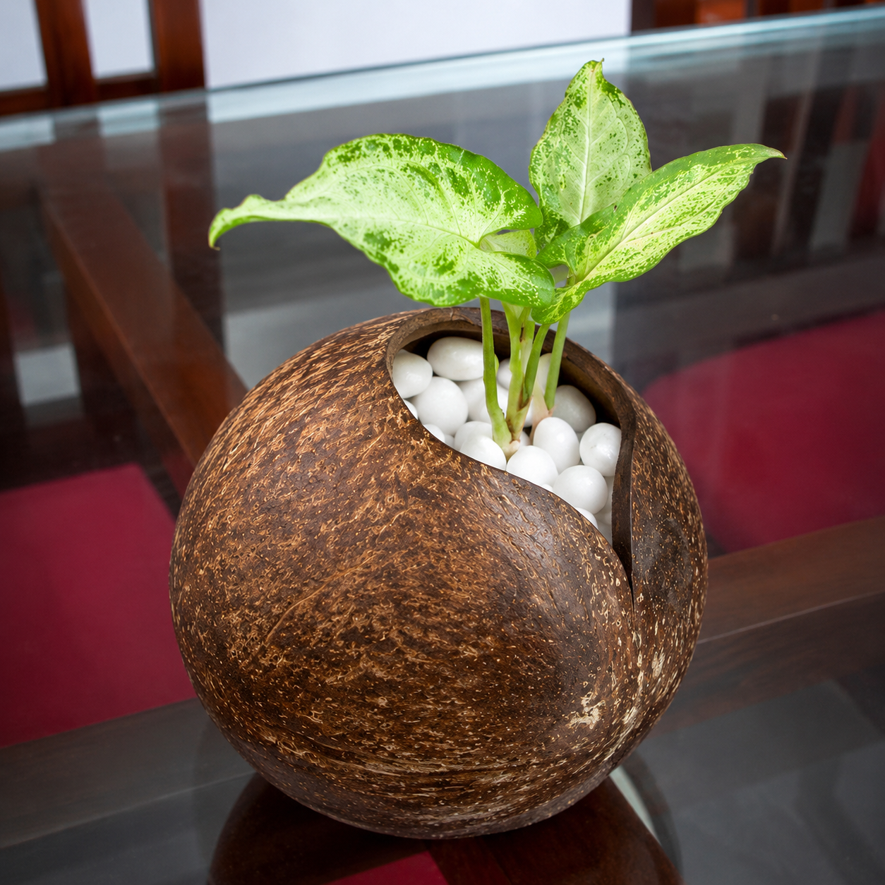 Eco-Friendly Beautiful Coco Flower Pot Coconut Shell Crafts of Kerala For Home Decor