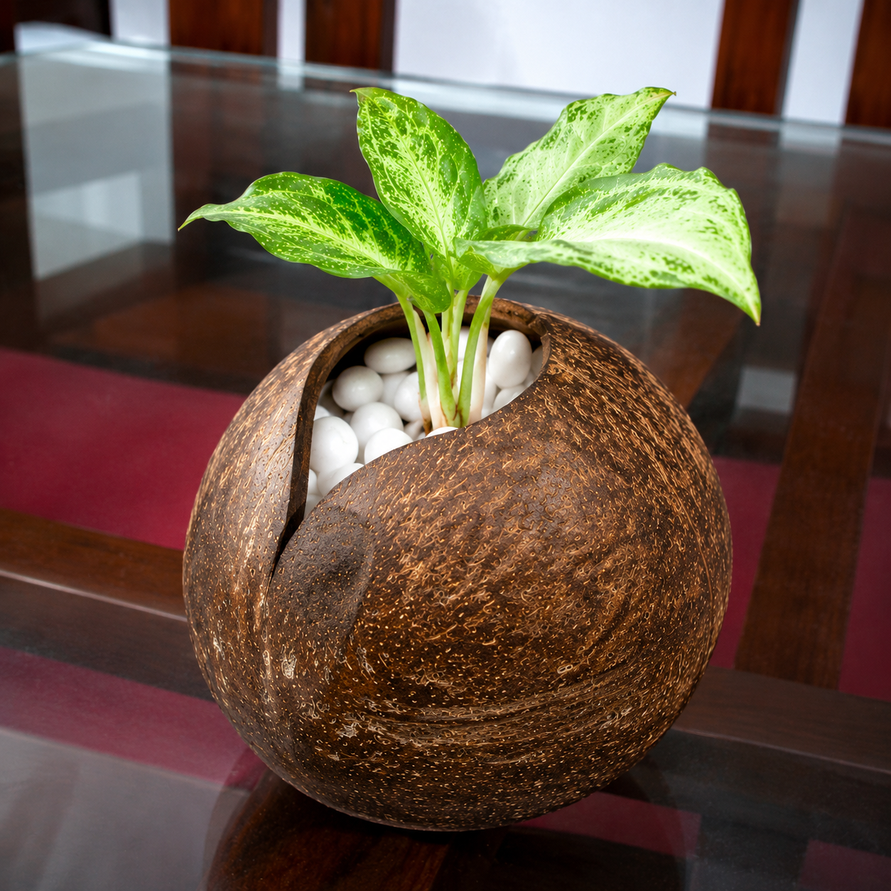 Eco-Friendly Beautiful Coco Flower Pot Coconut Shell Crafts of Kerala For Home Decor