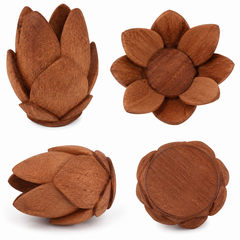 Lotus Pot Coconut Shell Craft