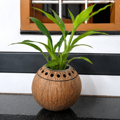 Eco-Friendly Designer Coco Flower Pot Coconut Shell Crafts of Kerala For Home Decor