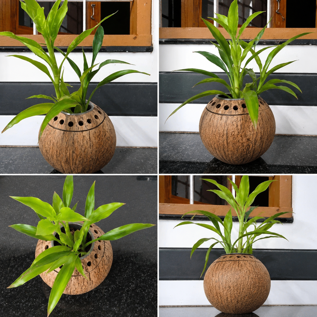 Eco-Friendly Designer Coco Flower Pot Coconut Shell Crafts of Kerala For Home Decor
