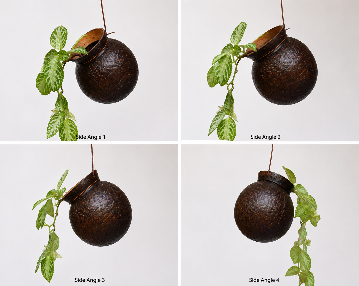 Handmade Eco-Friendly Flower Hanging Pot Brass Broidered Coconut Shell Crafts set of 2