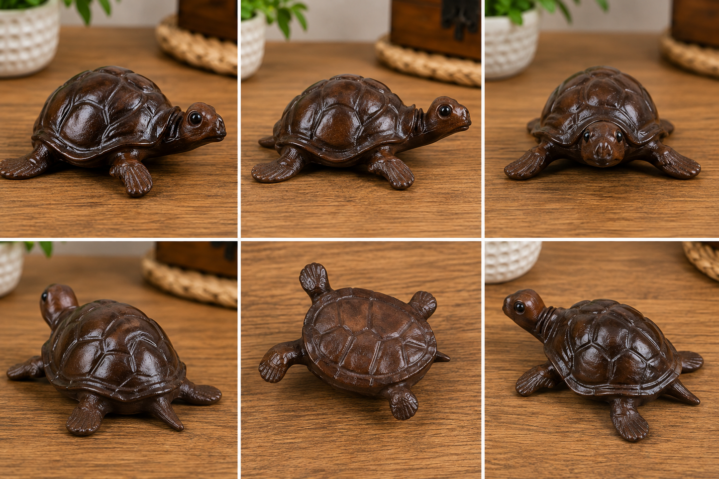Leather Tortoise