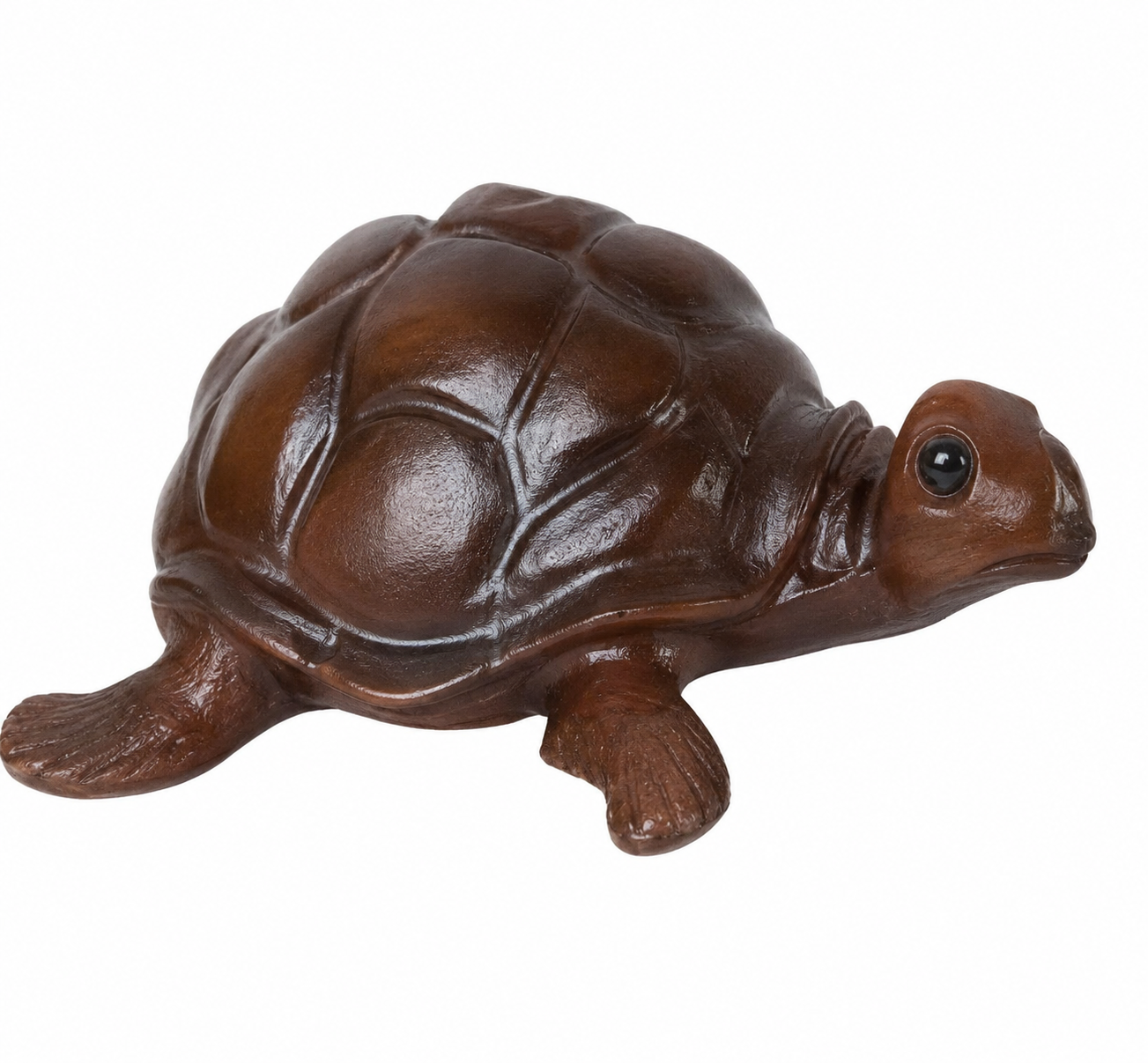 Leather Tortoise