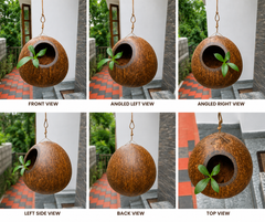 Handmade Eco-Friendly Brass Broidered Coconut Shell Crafts Of Kerala Flower Hanging Pot Set of 2