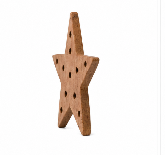 Star Shape Pendant