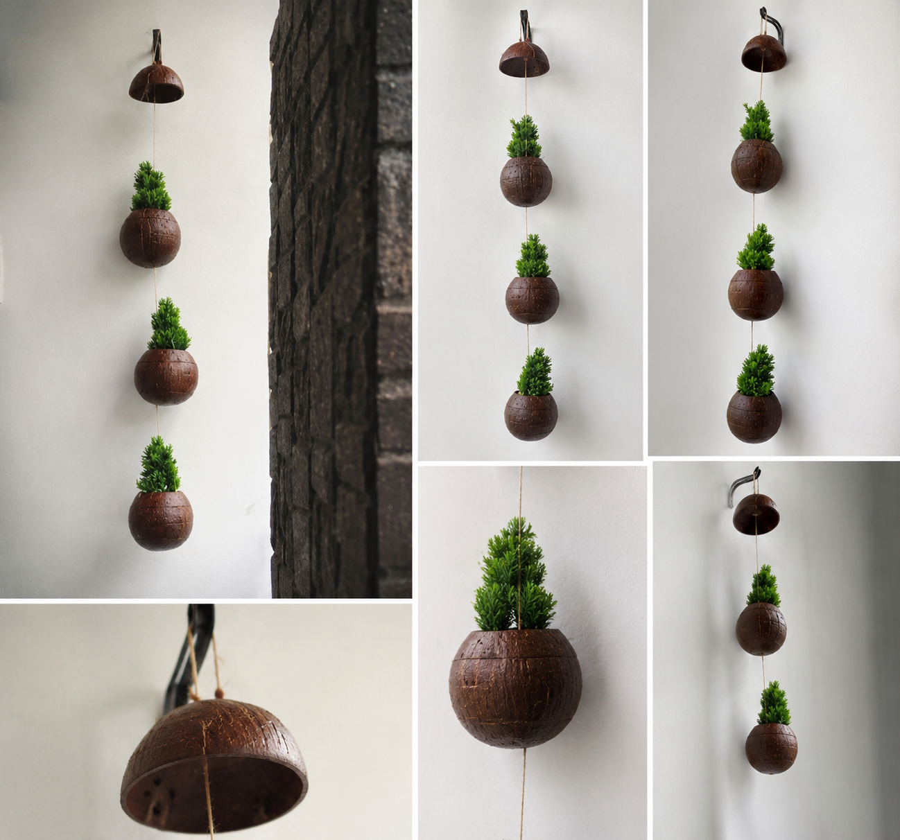 Eco Friendly Coconut Hanging Planter