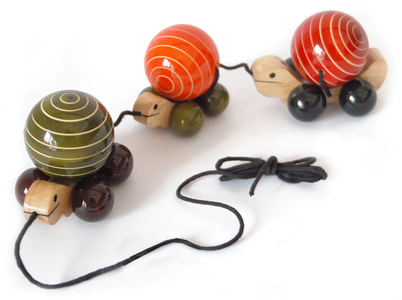 Tortoise Train