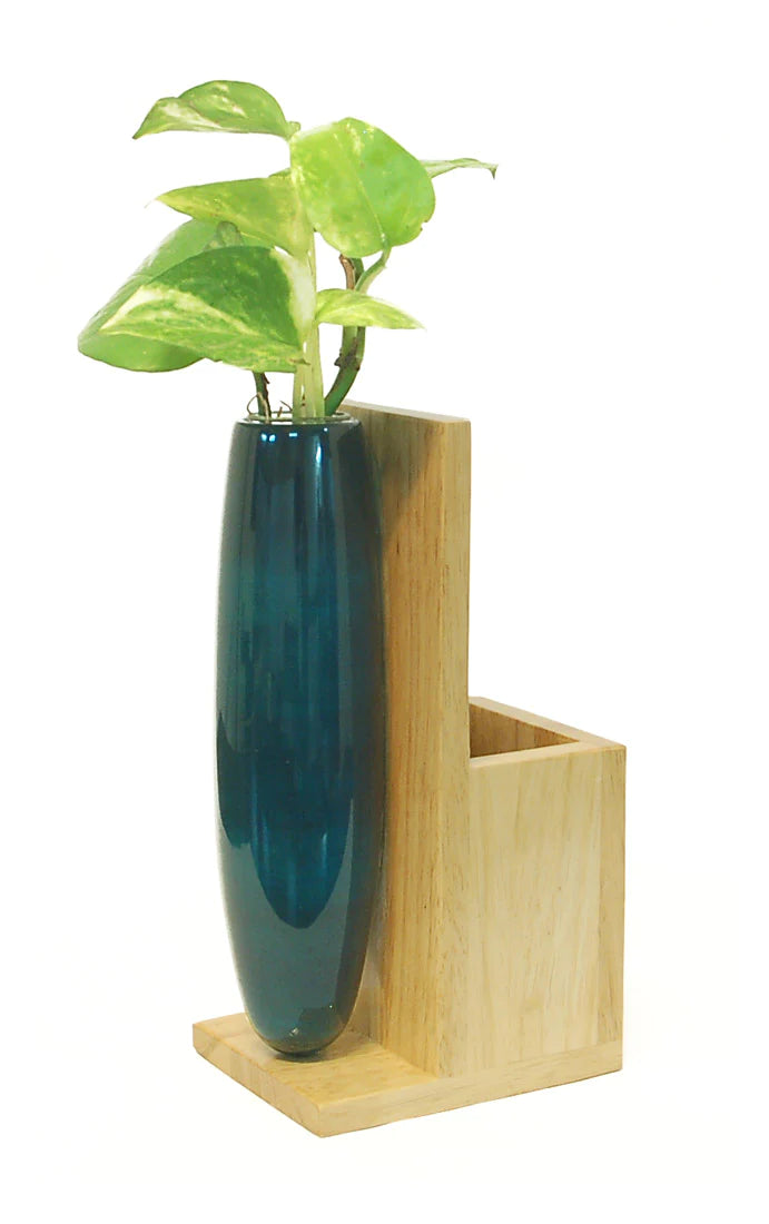 Multiuse Mini Plant Holder