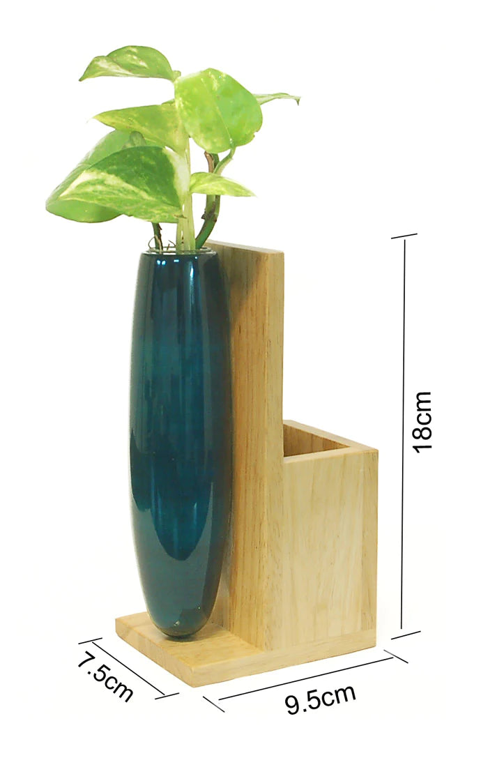 Multiuse Mini Plant Holder