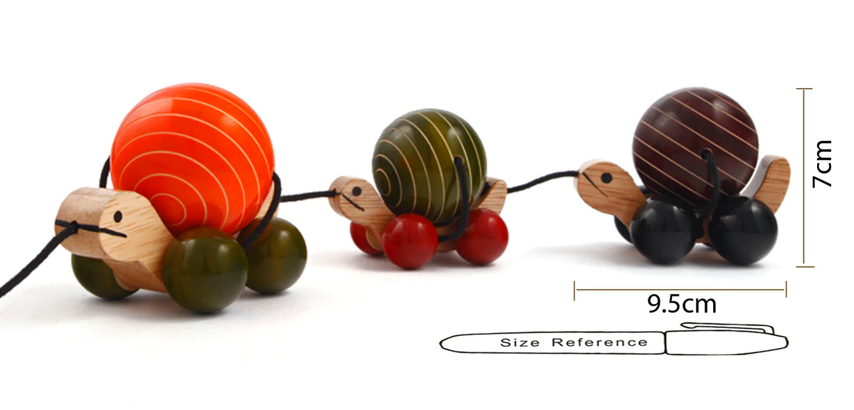 Tortoise Train