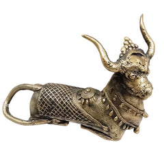 Beautiful Nandi