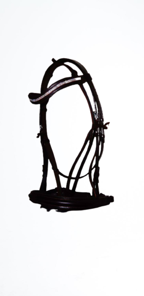 Beautiful Western Horse Headstall Kanpur Saddlery