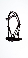 Beautiful Western Horse Headstall Kanpur Saddlery