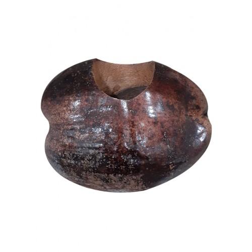 Flower Pot Of Green Coconut Shell Craft