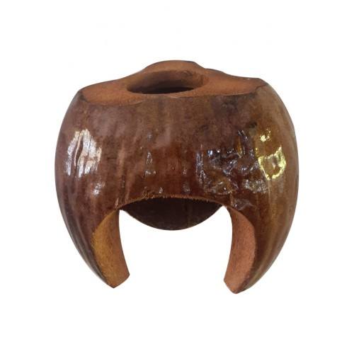 Green Coconut Shell Pot
