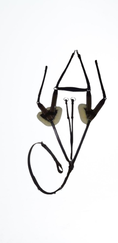 Classy Horse Halter Kanpur Saddlery