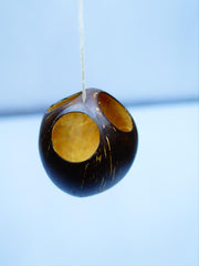 Coconut shell Hanging Pot