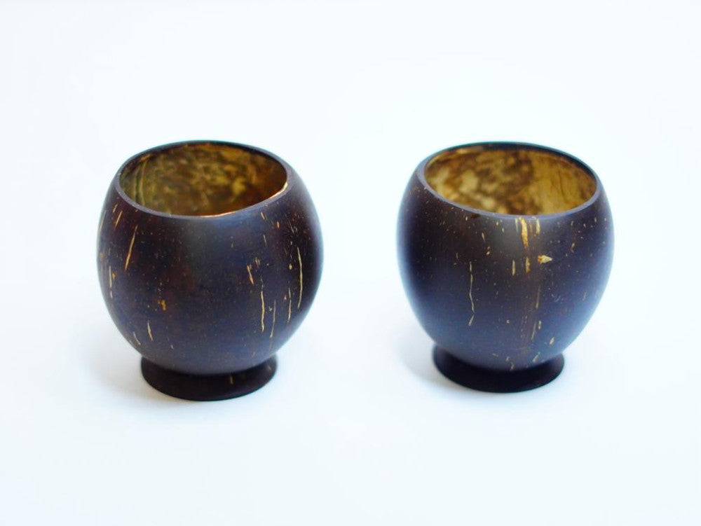 Coconut Shell Tea Cup
