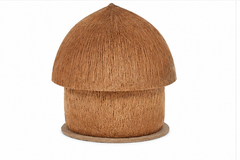 Hut Craft Of Coconut Shell