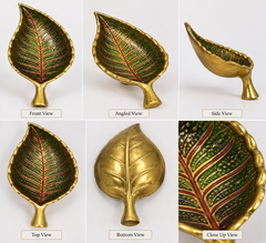 Neem Pattha Brown (leaf) Meena Colour