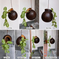 Handmade Eco-Friendly Flower Hanging Pot Brass Broidered Coconut Shell Crafts set of 2