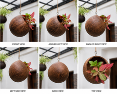 Eco-Friendly Handmade Flower Hanging Pot Brass Broidered Coconut Shell Crafts Of Kerala set of 2
