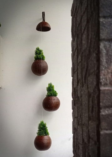 Eco Friendly Coconut Hanging Planter