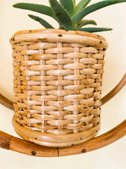 EcoFriendly Planter