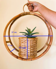 EcoFriendly Planter