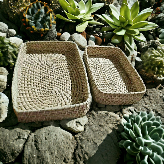 EcoFriendly Rectangular Tray set of 2