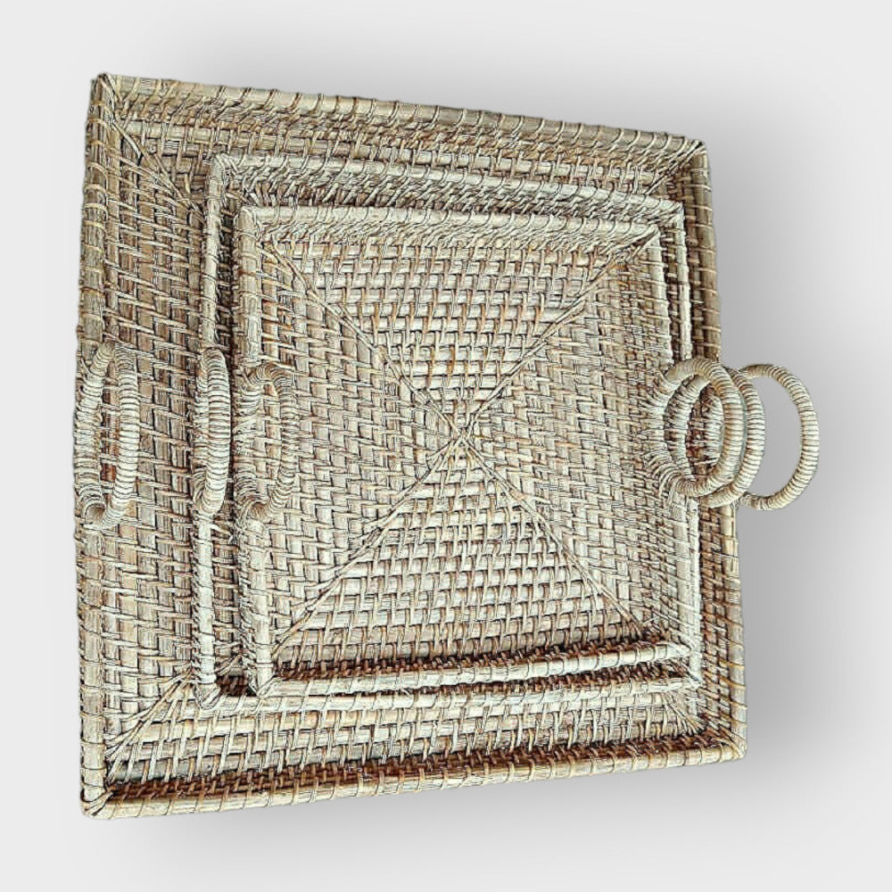 EcoFriendly Tray with Handle set of 3