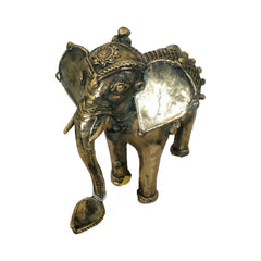 Elephant 1