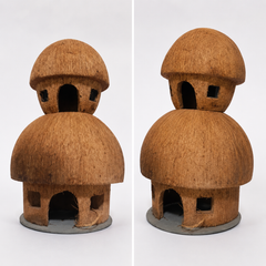 Two flor House Coconut Shell Craft