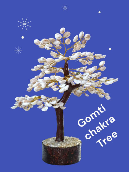 Gomti Chakra Tree– Gi Heritage