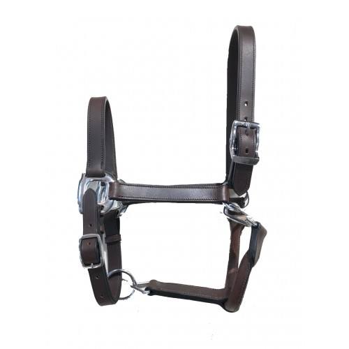 KANPUR SADDLERY Halter DD Leather Hardware ZINC Fitting By Star Horse
