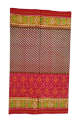 Multicolour Rajkot Patola Saree