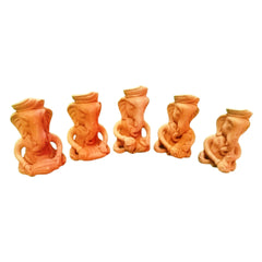 Terracota ganesh with instruments set