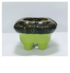 Tooth Planter