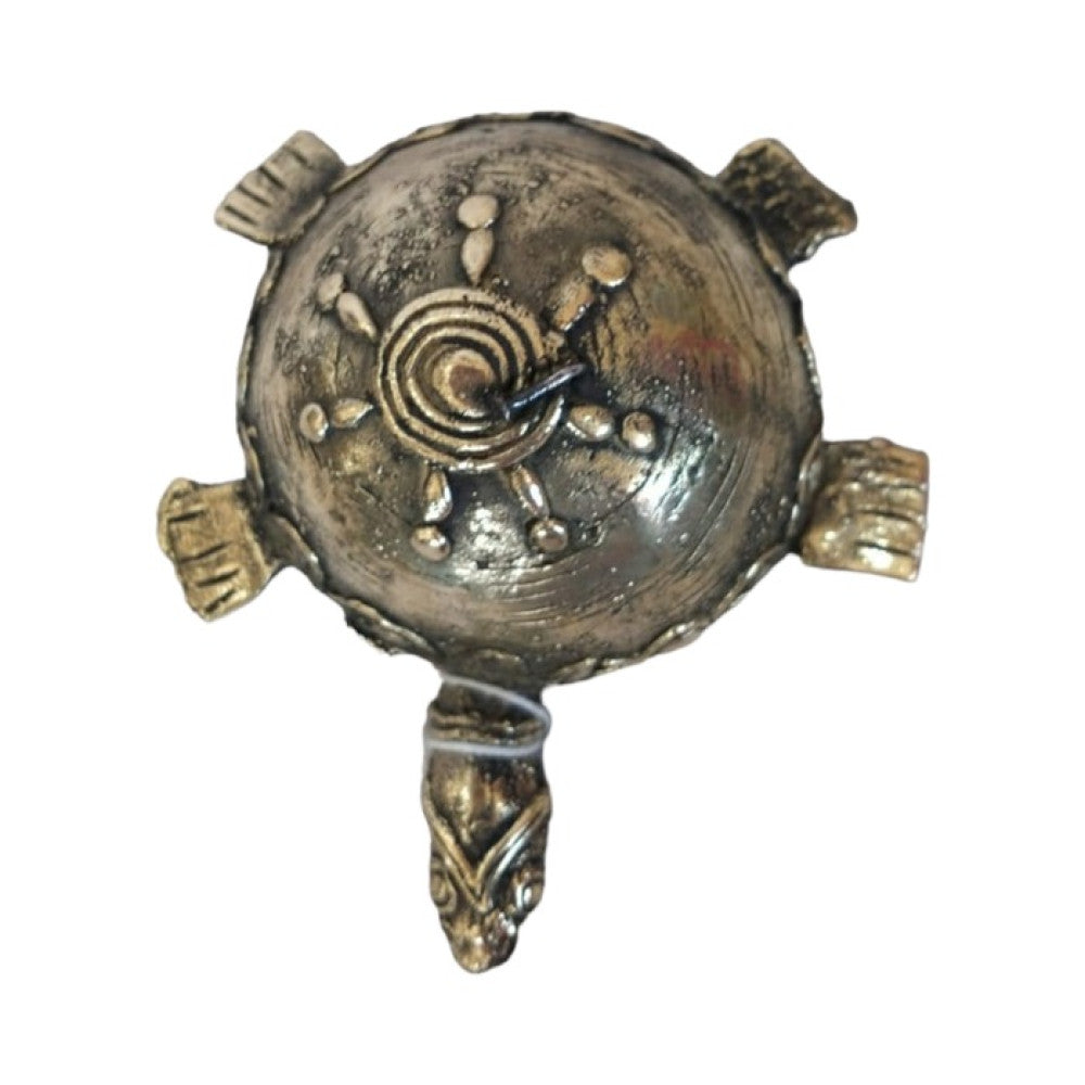 Tortoise with the Symbol on Its Shell