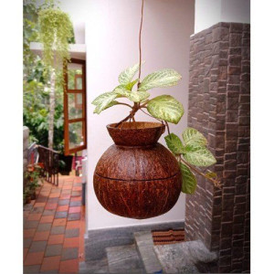 Eco-Friendly Brass Broidered Coconut Shell Crafts Of Kerala Flower Hanging Pot Set of 2