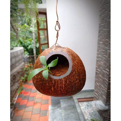 Coconut Shell Crafts
