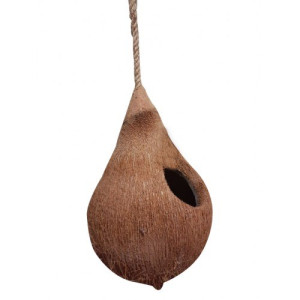 Bird Hanging Nest Coconut Shell Craft