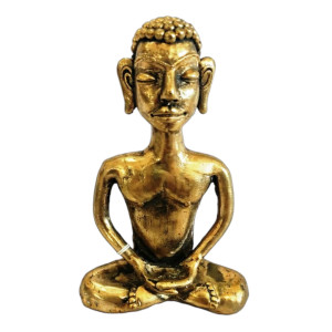 Goutham Budha