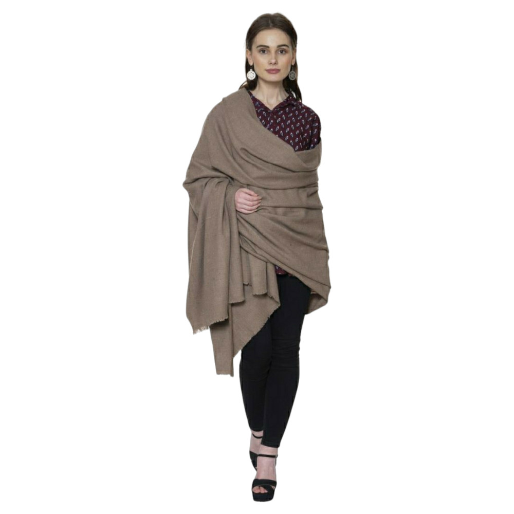 Genuine Pashmina Shawl with authentification certificate from Kashmir