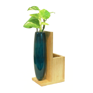 Multiuse Mini Plant Holder Dark Blue