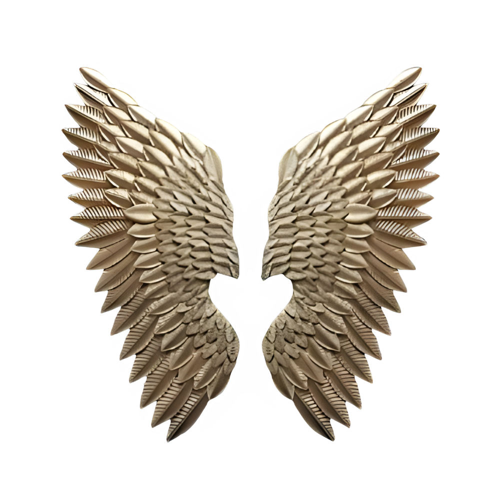 Premium Feather Wall Art