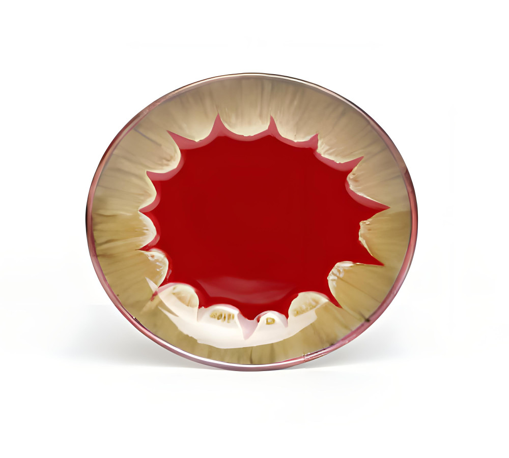 Quarter Plate Red